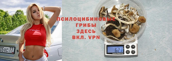 Альфа ПВП Инсар