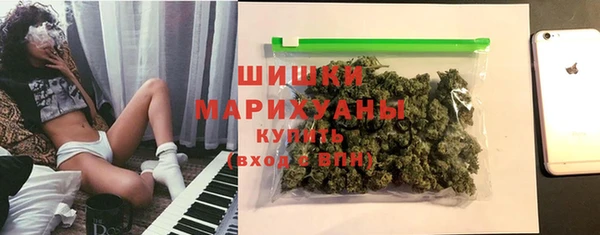 Альфа ПВП Инсар