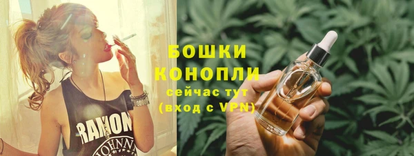 твердый Иннополис