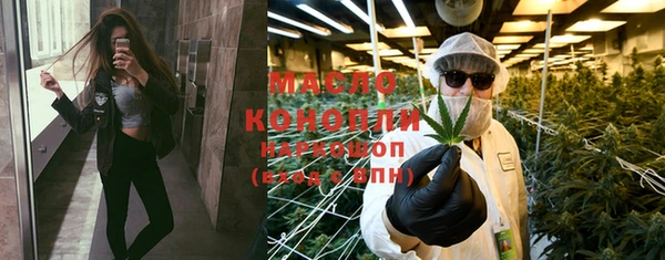Альфа ПВП Инсар