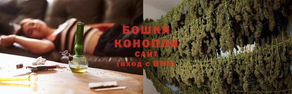 твердый Иннополис