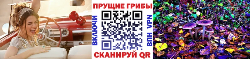 Купить где  Бородино  Псилоцибиновые грибы прущие грибы 
